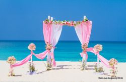 Decorations & style Tropical colors