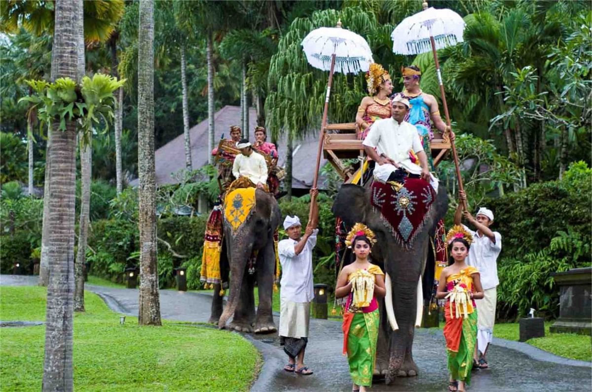 Exotic elephant wedding - Elephant-Ride-x.jpg
