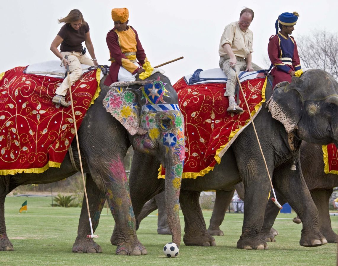 Elephant Wedding In Goa   74ec2011c98d96ccf261f09eaad4ac1f 1200 900 