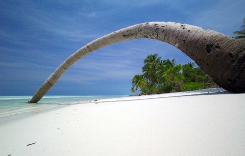 Maafushi - Private-Island1.jpg