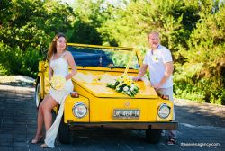 Transfer for couple Volkswagen safari retro