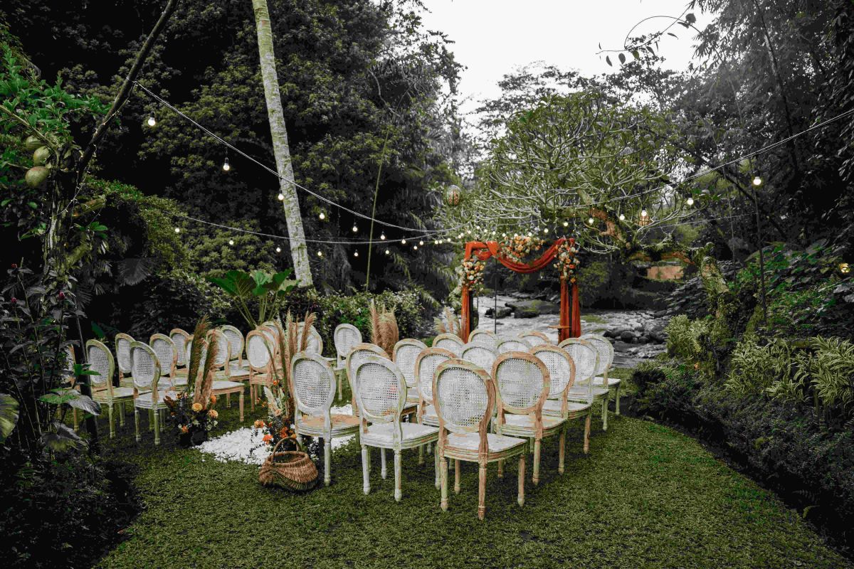 Jungle River wedding - BIP-05923 (1) (1).jpg