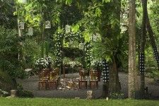 Wedding venue Jungle Tropical Garden