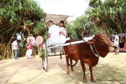 add-ons for ceremony Wedding bull