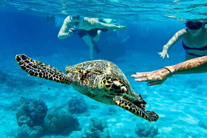 Snorkling at Gili Islands